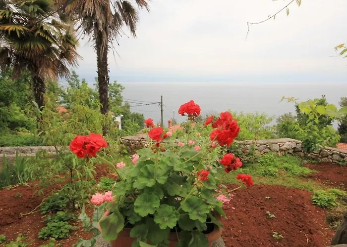 Apartment By The Sea Medveja, Opatija - 7852